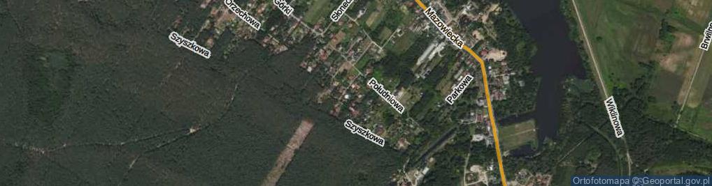 Zdjęcie satelitarne Borowikowa ul.